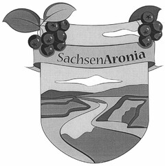 SachsenAronia