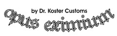 opus eximium by Dr. Koster Customs