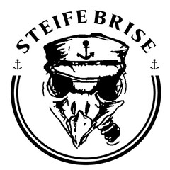 STEIFE BRISE