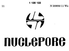 nUCLePORe