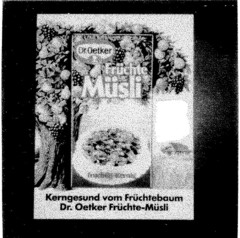 Dr.Oetker Früchte Müsli