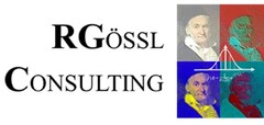 R GÖSSL CONSULTING