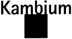 Kambium