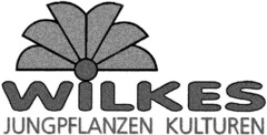 WILKES JUNGPFLANZEN