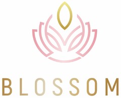 BLOSSOM