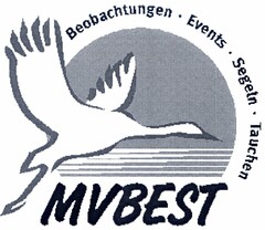 MVBEST