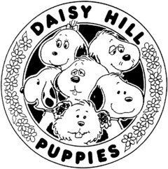 DAISY HILL PUPPIES