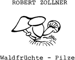 ROBERT ZOLLNER