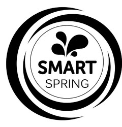 SMART SPRING