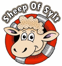 Sheep Of Sylt