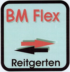 BM Flex Reitgerten