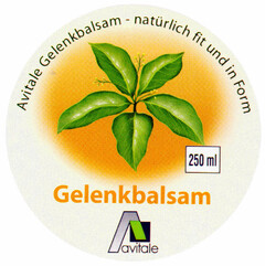 Gelenkbalsam