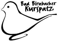 Bad Birnbacher Kurspatz