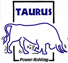 TAURUS Power-Rohling