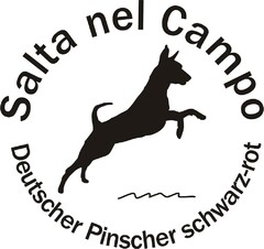 Salta nel Campo Deutscher Pinscher schwarz-rot