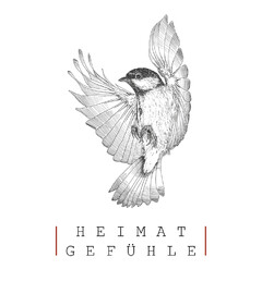 HEIMAT GEFÜHLE