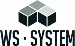 WS · SYSTEM