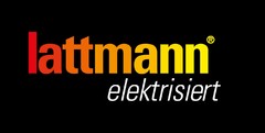 lattmann elektrisiert