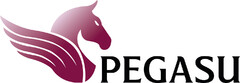 PEGASU