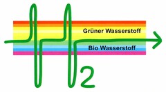 Grüner Wasserstoff Bio Wasserstoff