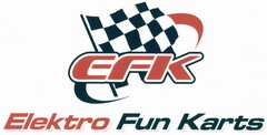 EFK Elektro Fun Karts