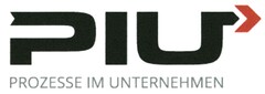 PIU PROZESSE IM UNTERNEHMEN