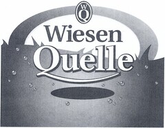 Wiesen Quelle