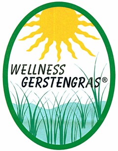 WELLNESS GERSTENGRAS