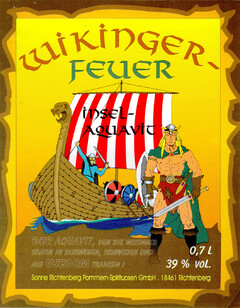WIKINGER-FEUER