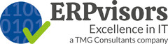 ERPvisors Excellence in IT a TMG Consultants company