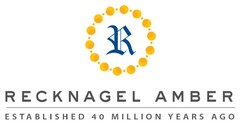 R RECKNAGEL AMBER ESTABLISHED 40 MILLION YEARS AGO