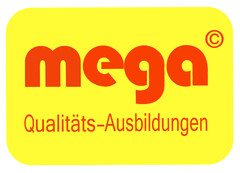 mega Qualitäts-Ausbildung