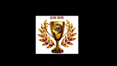 GIN WM