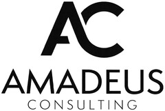 AMADEUS CONSULTING