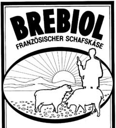 BREBIOL FRANZÖSISCHER SCHAFSKÄSE