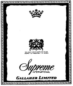 Supreme INTERNATIONAL