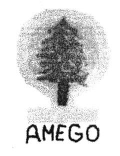 AMEGO