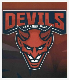DEVILS ULM/NEU-ULM