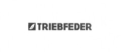 TRIEBFEDER