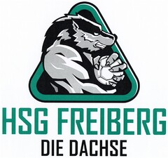HSG FREIBERG DIE DACHSE