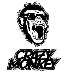 CRAZY MONKEY