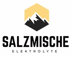 SALZMISCHE ELEKTROLYTE