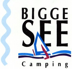 BIGGESEE-Camping