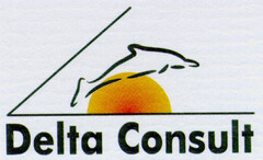 Delta Consult