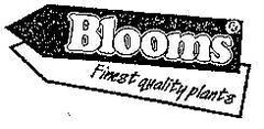 Blooms Finest quality plants