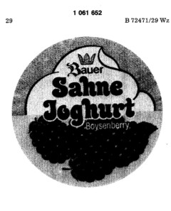 Bauer Sahne Joghurt Boysenberry