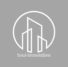 Soul-Immobilien