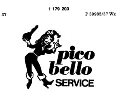 pico bello SERVICE