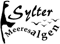 Sylter Meeresalgen