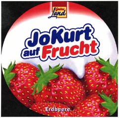 JoKurt auf Frucht